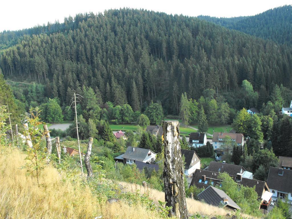 Ferienwohnung Sonnenhuegel Вильдеманн Экстерьер фото